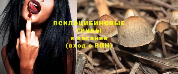 PSILOCYBIN Горно-Алтайск